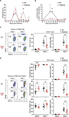 γδ T cell-mediated activation of cDC1 orchestrates CD4+ Th1 cell priming in malaria